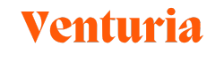 VENTURIA